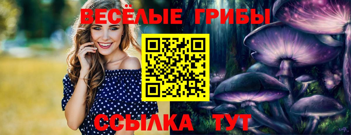 Галлюциногенные грибы ЛСД Новозыбков