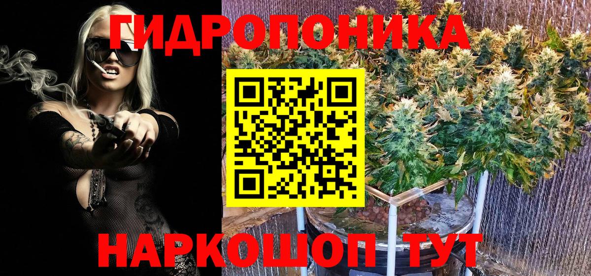 Новозыбков  Канабис THC 21%  Бошки марихуана конопля  Вход с VPN  МАРИХУАНА план  Бошки Шишки тримм 